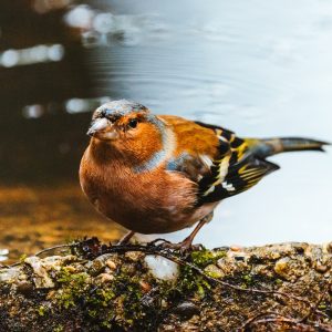 Photography for Influencer Campaigns