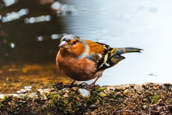 Photography for Influencer Campaigns